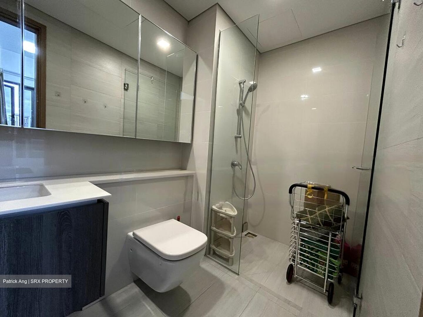 Lakeville (D22), Condominium #562939061